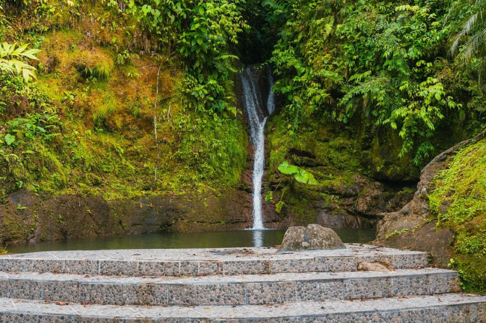 Waterfall pool and terrace