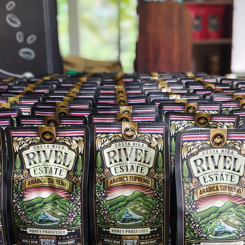 Harvesting coffee at Rivel Estate