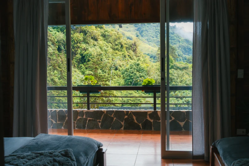 Penthouse terrace looking onto the rainforest