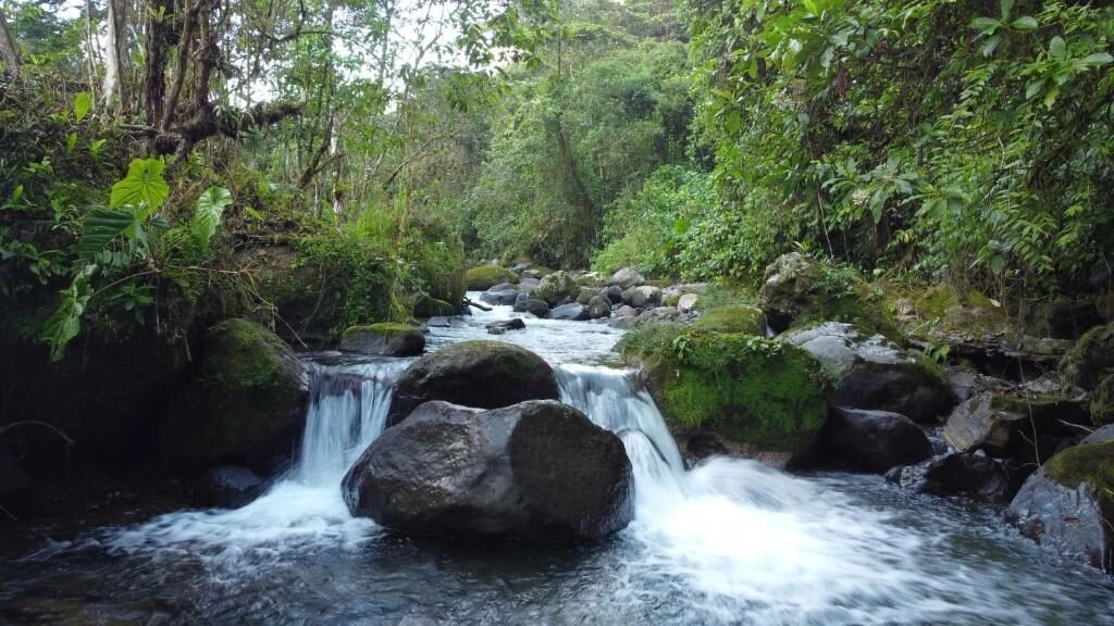 Trails, river and nature