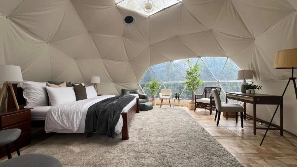 Jungle lodge