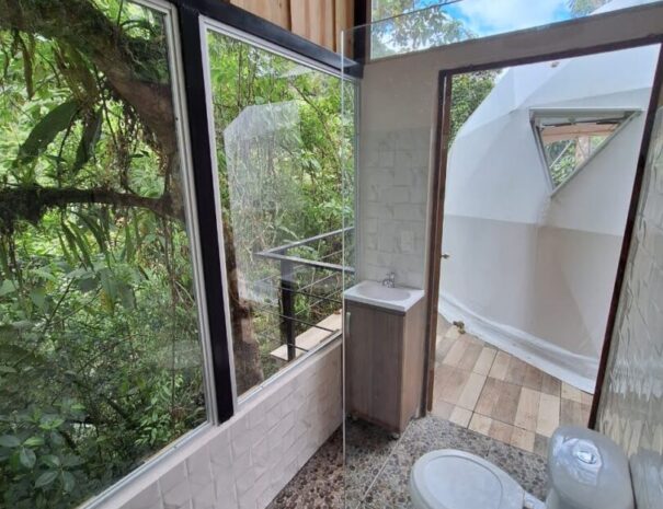 Shower View - Dome