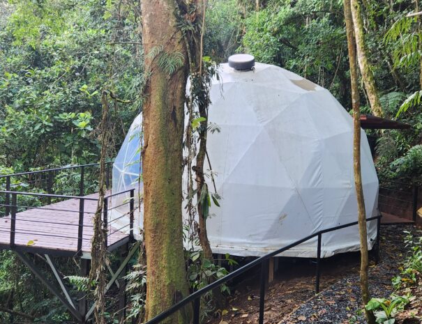 Jungle Dome