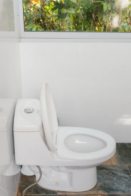 Couple dome toilet
