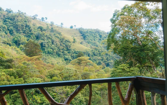 Sky Lodge Balcony view